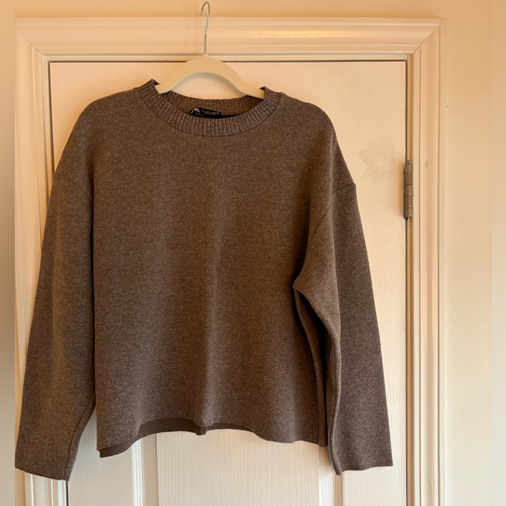 Zara Brown Sweater NWOT